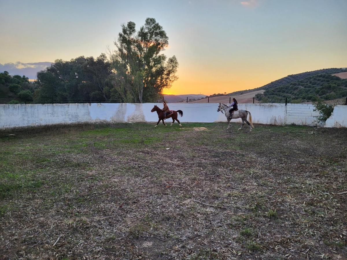 Hacienda Las Lumbreras Montellano Esterno foto
